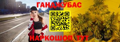 дмт Гусев