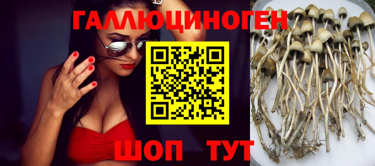 цены наркотик  Галлюциногенные грибы Psilocybe  Электрогорск  Вход с VPN  Псилоцибиновые грибы MAGIC MUSHROOMS 