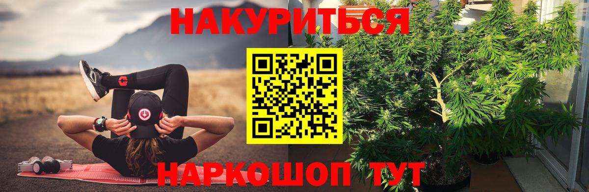 Канабис THC 21%  Канабис Bruce Banner  Бошки Шишки план  Конопля план  Электрогорск  Вход с VPN 
